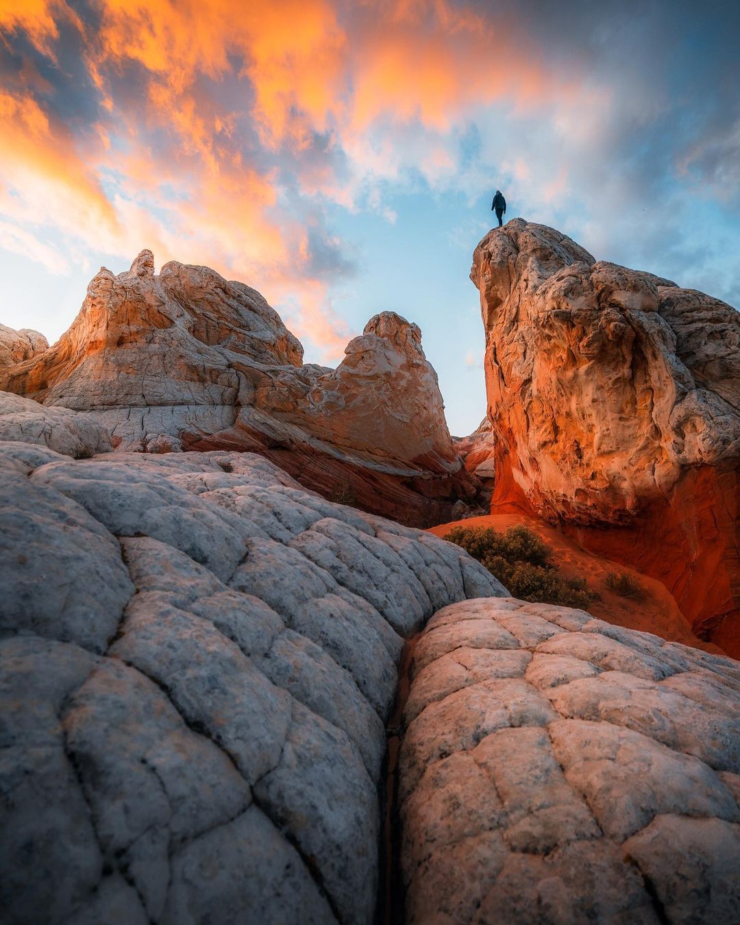 Cinematic Nature - LUTS (9)