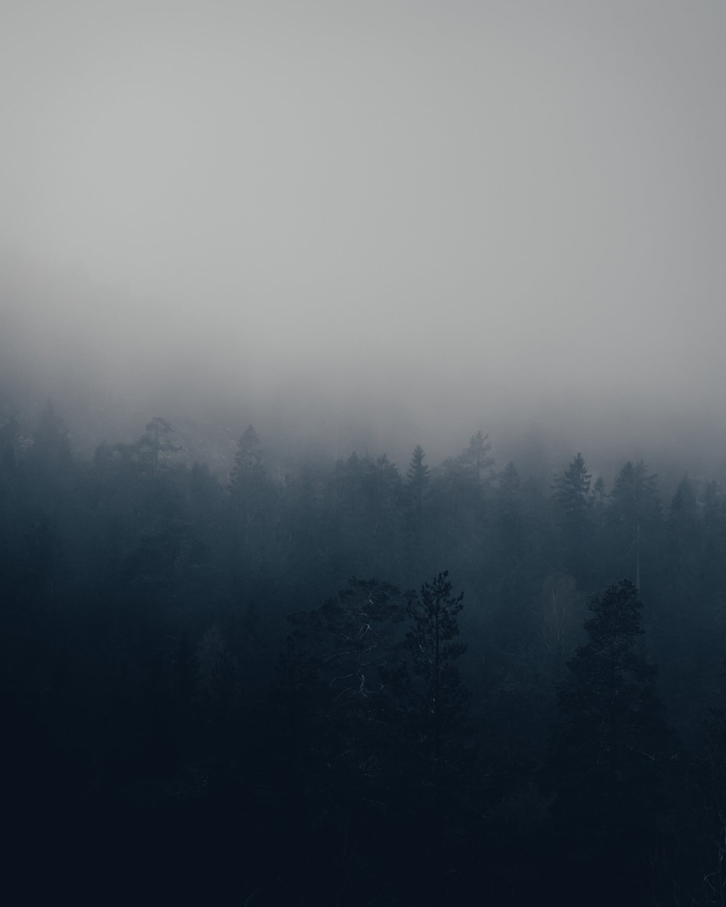 Cinematic Dark - LUTS (10)